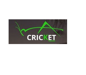 Cricket Pavers of Weston