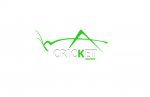 Cricket Pavers of Weston - 1