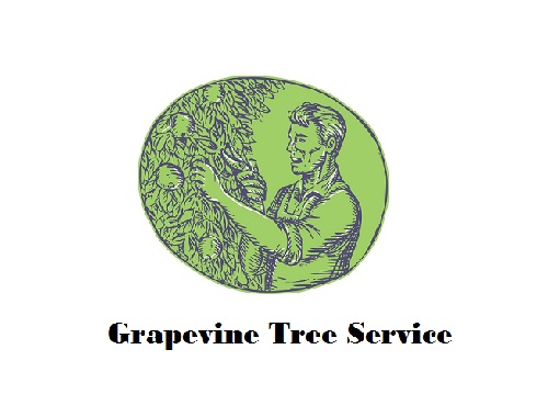 Grapevine Tree Service