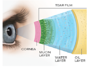 Dell Laser Consultants