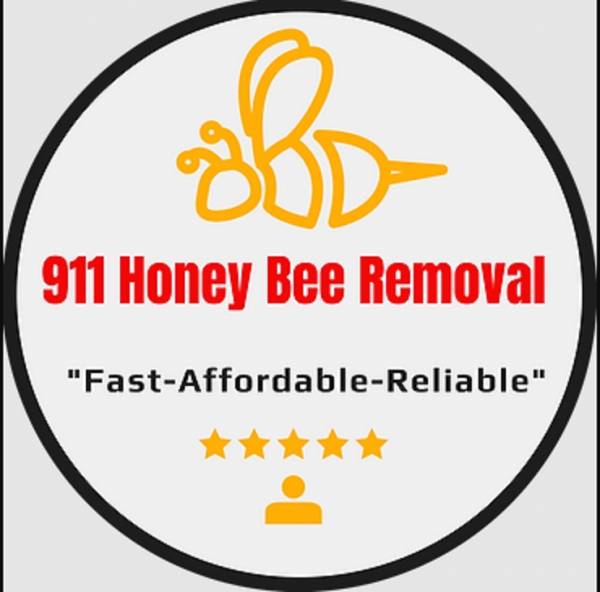 911 Honey Bee Removal