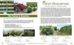 Folium Biosciences CBD - 3