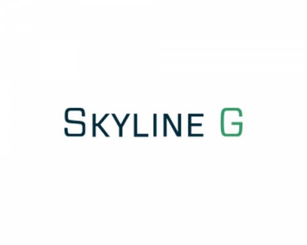 Skyline G - Executive Coaching & Leadership Development