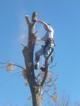 Patriot Tree Service - 2