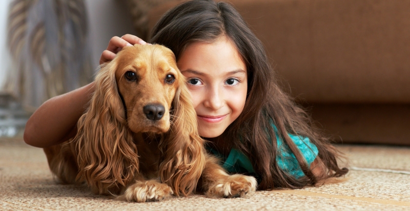 The Louse Girl is a Head Lice Removal Service