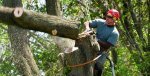 Jason's Tree Service - 1