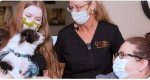 Desert Veterinary Medical Specialists - 1