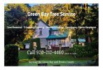 Green Bay Tree Service - 1