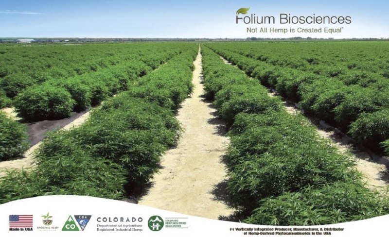 Folium Biosciences CBD