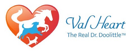 Val Heart & Friends LLC