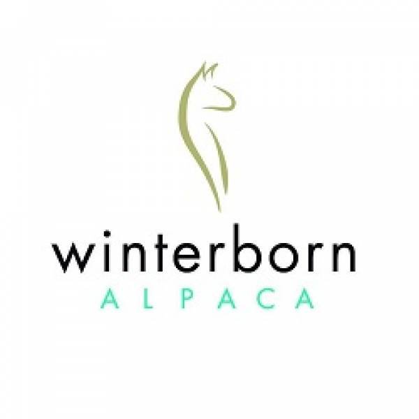 Winterborn Alpaca Usa