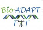 Bio Adapt Fit - 1